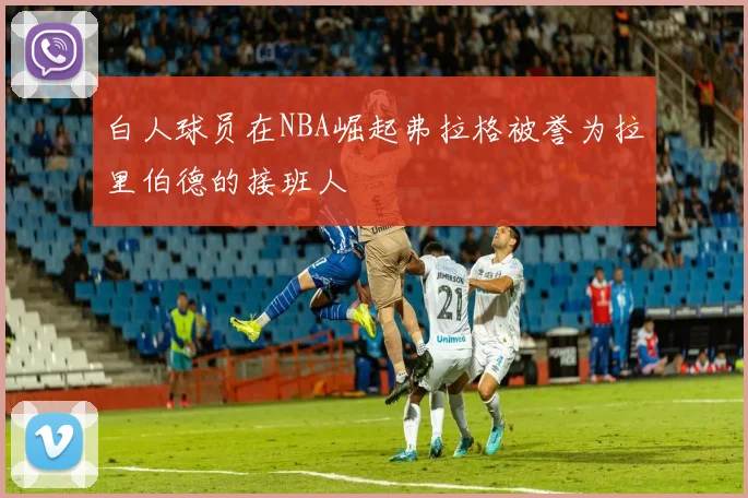 白人球员在NBA崛起弗拉格被誉为拉里伯德的接班人