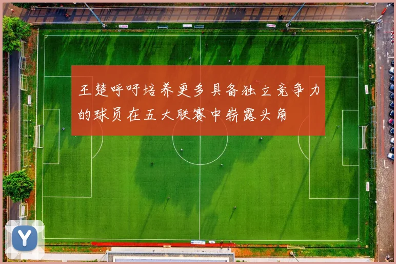 王楚呼吁培养更多具备独立竞争力的球员在五大联赛中崭露头角